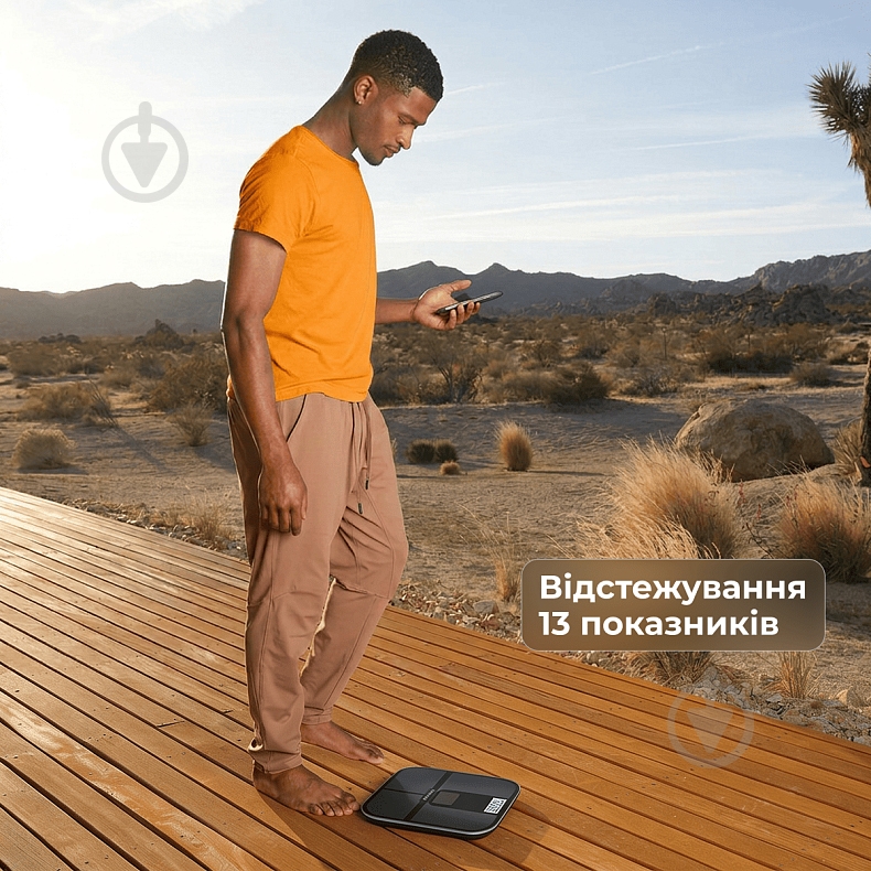 Смарт-весы RENPHO Elis Solar 2 Black R-A020-BK - фото 7 Смарт-весы RENPHO Elis Solar 2 Black R-A020-BK - фото 7