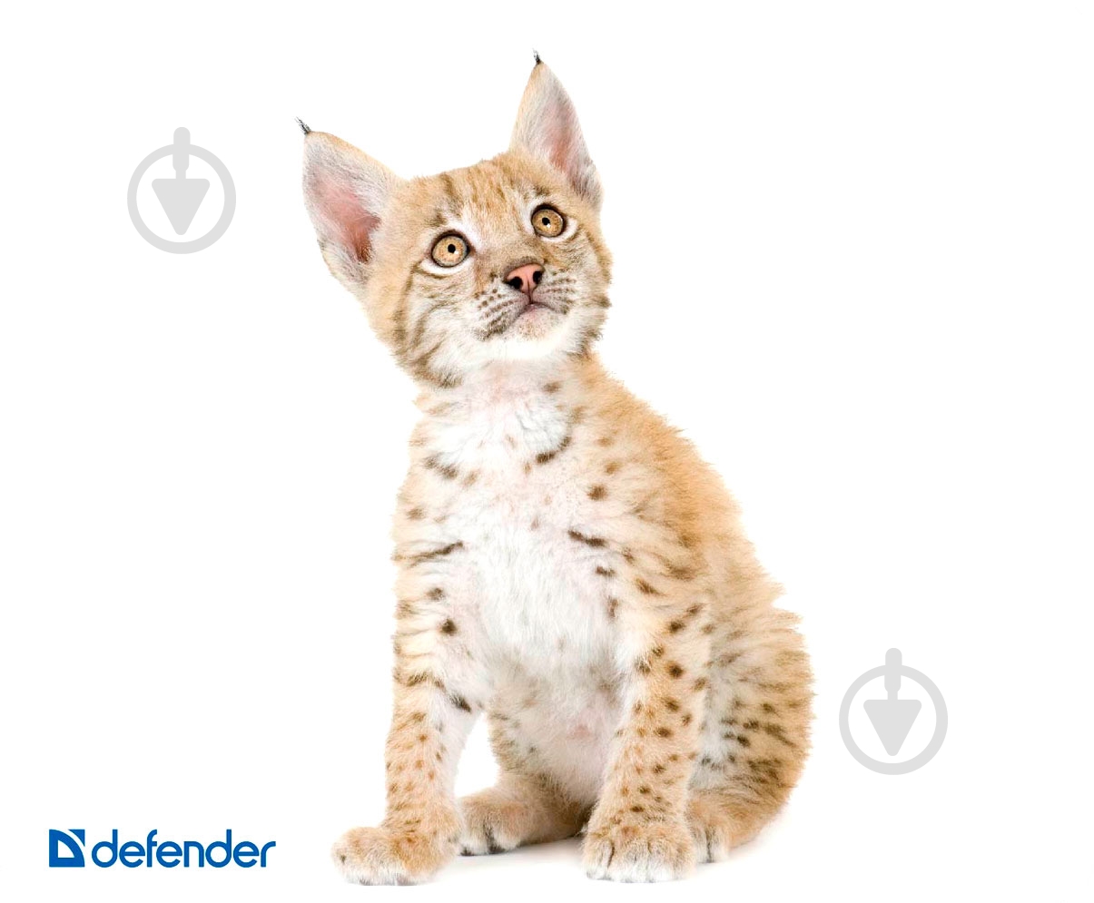 Коврик для мышки Defender Silk - фото 7