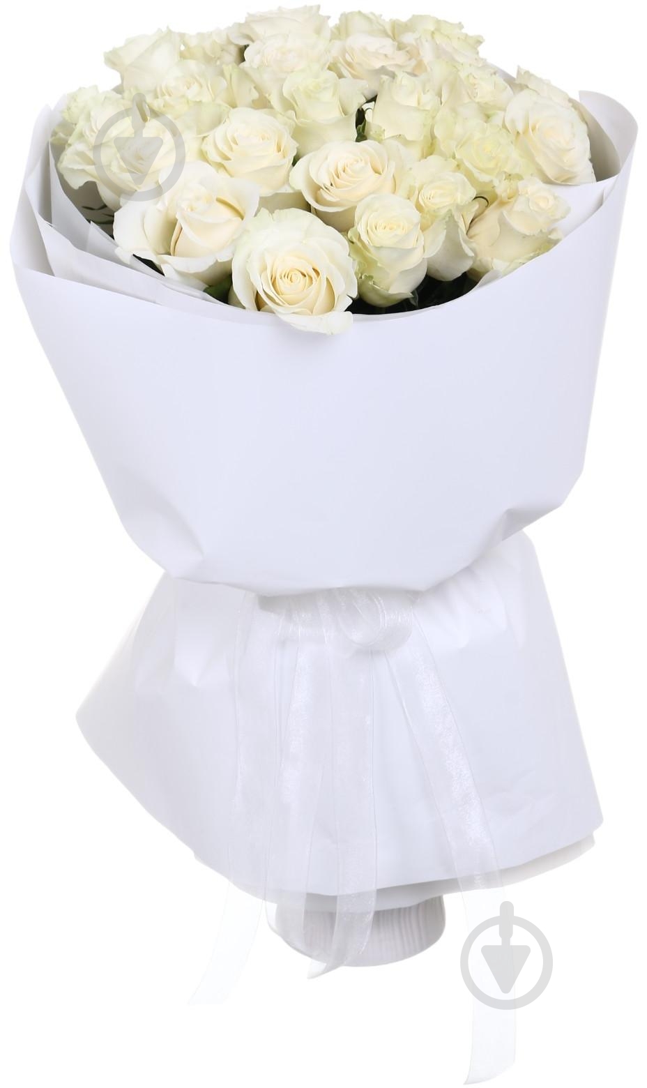 Роза Playa Blanka одноголовая классическая 70 см белый - фото 3