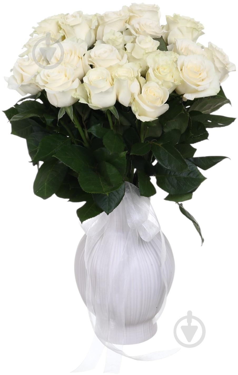 Роза Playa Blanka одноголовая классическая 70 см белый - фото 4