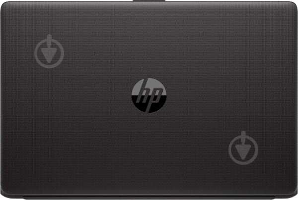 Ноутбук HP 250 G7 15,6" (6UL17EA) black - фото 5