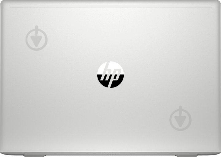 Ноутбук HP Probook 455 G7 15,6 (175V2EA) silver - фото 5
