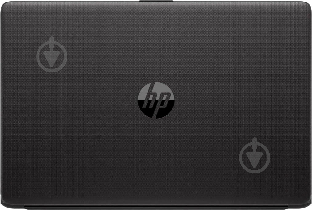 Ноутбук HP 250 G7 15,6" (9HQ72EA) black - фото 6