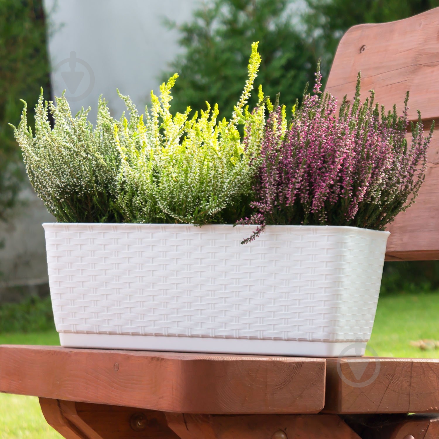 Ящик балконный пластик Ratolla round прямоугольный белый 14,7 л Prosperplast (76964-449) - фото 3 Ящик балконный пластик Ratolla round прямоугольный белый 14,7 л Prosperplast (76964-449) - фото 3