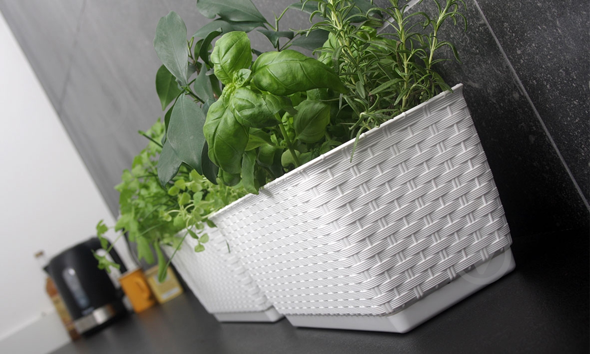 Ящик балконный пластик Ratolla round прямоугольный белый 14,7 л Prosperplast (76964-449) - фото 2 Ящик балконный пластик Ratolla round прямоугольный белый 14,7 л Prosperplast (76964-449) - фото 2