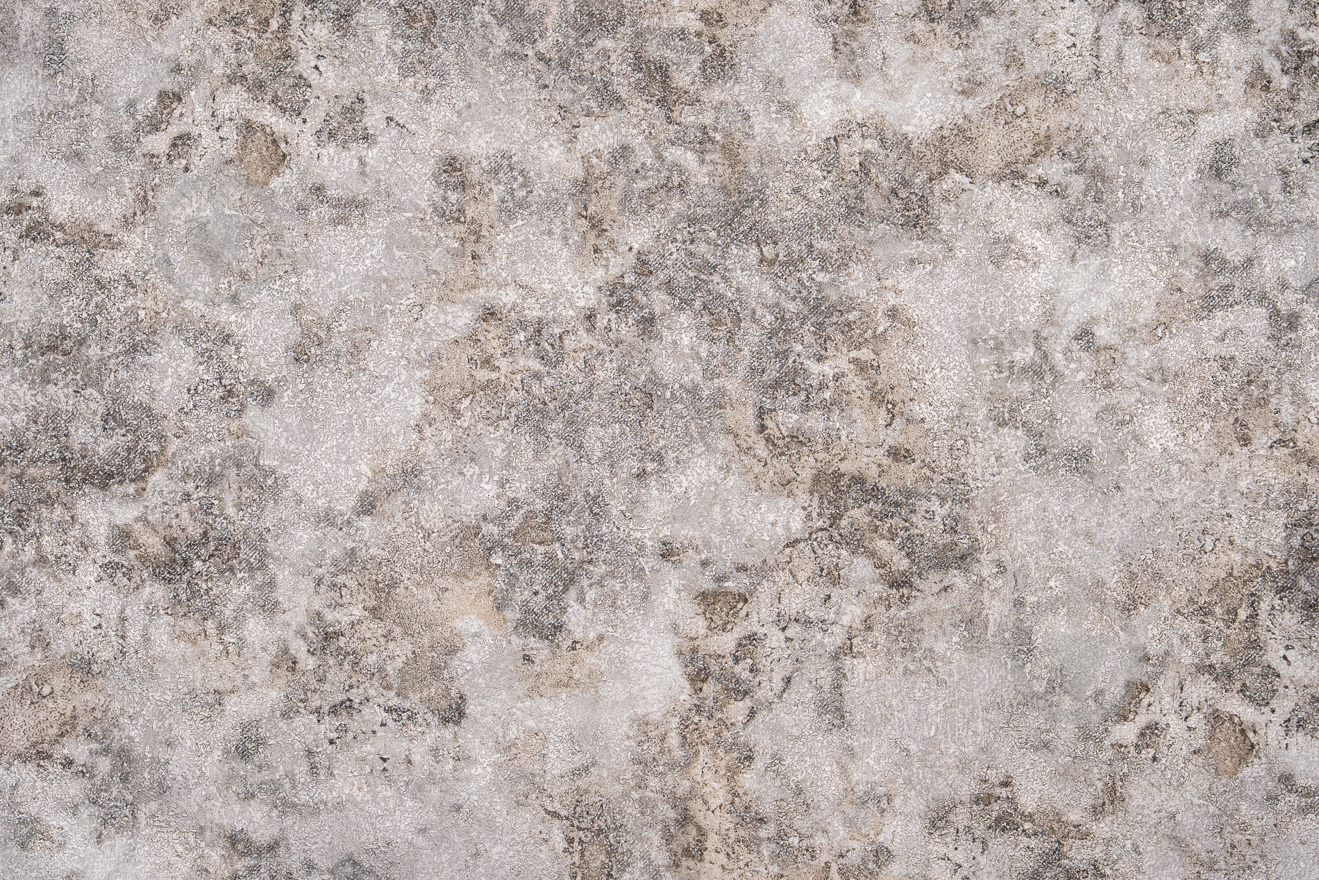 Шпалери вінілові на флізеліновій основі Слов'янські шпалери Elegance collection В119 Генуя 2 1313-20 1,06x10,05 м - фото 1 Шпалери вінілові на флізеліновій основі Слов'янські шпалери Elegance collection В119 Генуя 2 1313-20 1,06x10,05 м - фото 1