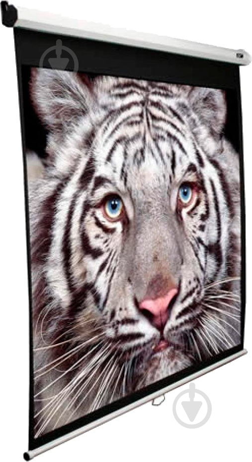 Экран Elite Screens M99NWS1 - фото 3