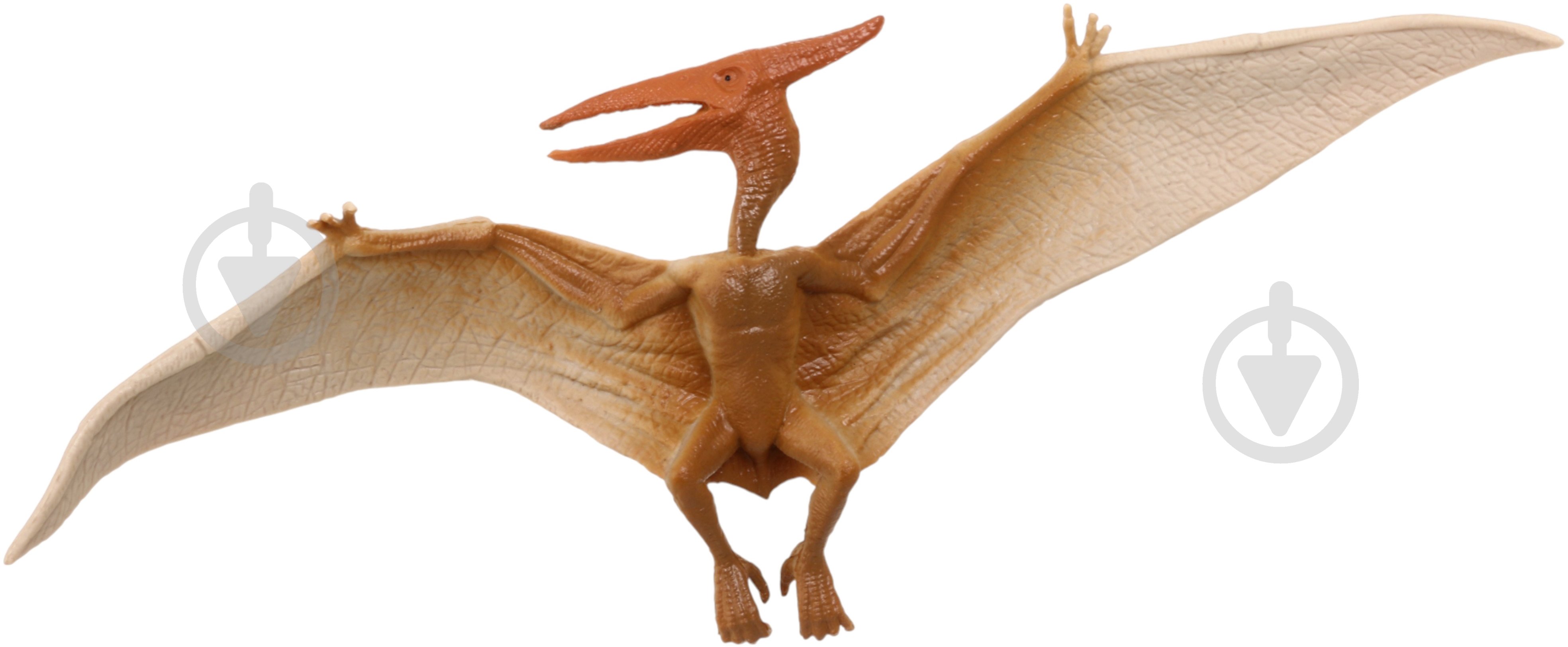 Игровой набор PIXIE динозавры 6 шт. 21х30х4 см пластик YX-PK056-2 - фото 8 Игровой набор PIXIE динозавры 6 шт. 21х30х4 см пластик YX-PK056-2 - фото 8