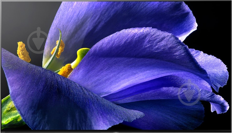 Телевизор Sony KD77AG9BR2 - фото 5