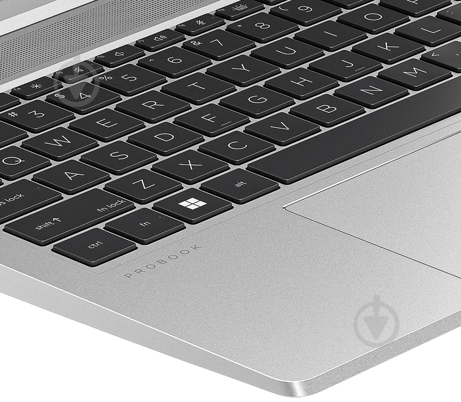 HP Probook 455 G10 15,6" (816P9EA) pike silver - фото 4