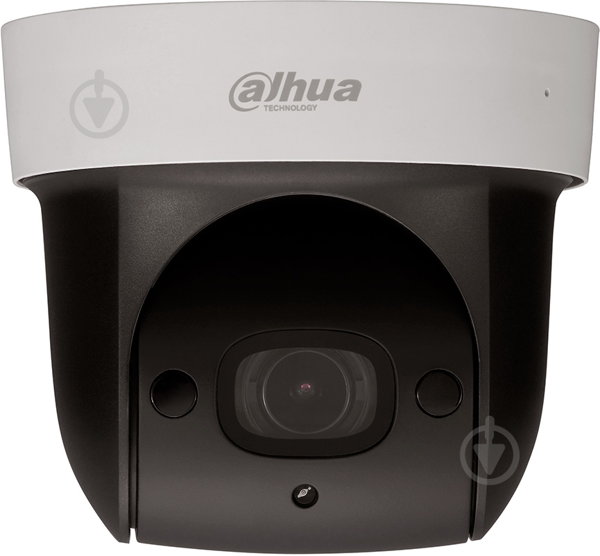 IP-камера Dahua SpeedDome DH-SD29204T-GN - фото 1