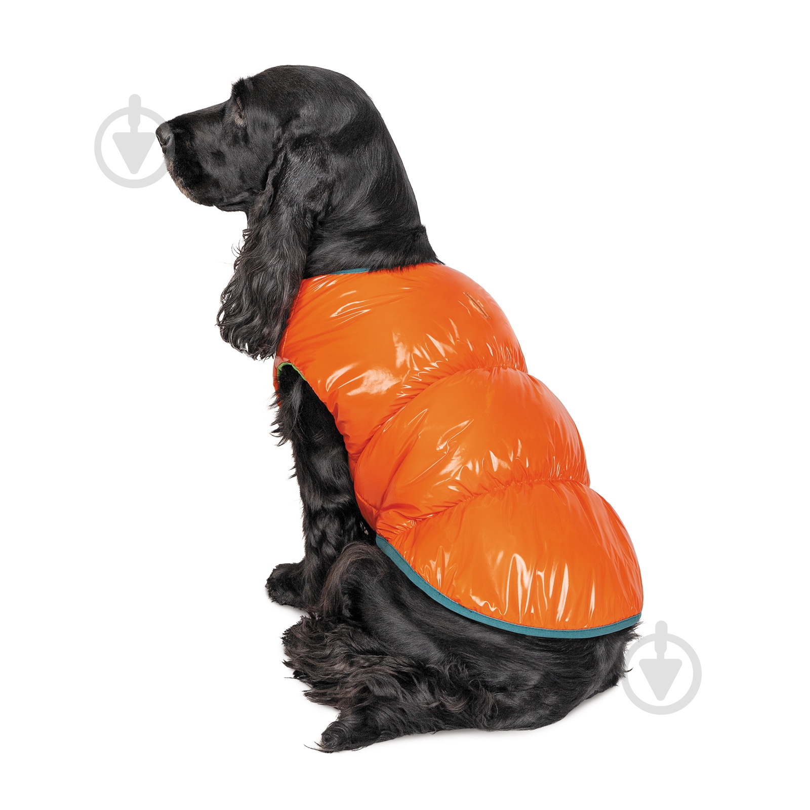 Жилет Pet Fashion для собак SPRING XS2 - фото 3 Жилет Pet Fashion для собак SPRING XS2 - фото 3