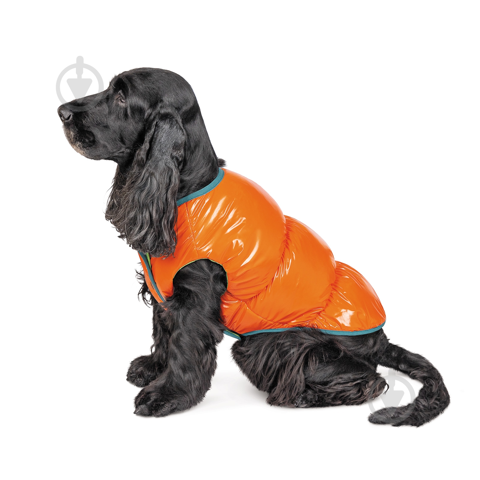 Жилет Pet Fashion для собак SPRING XS2 - фото 4 Жилет Pet Fashion для собак SPRING XS2 - фото 4