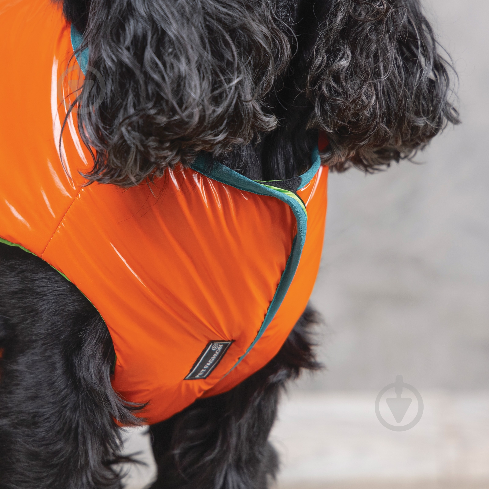 Жилет Pet Fashion для собак SPRING XS2 - фото 5 Жилет Pet Fashion для собак SPRING XS2 - фото 5