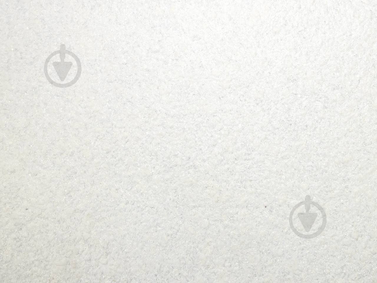 Жидкие обои EcoWallPaper WP 751 1 кг - фото 1 Жидкие обои EcoWallPaper WP 751 1 кг - фото 1