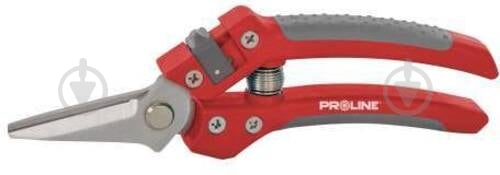 Секатор площинний Proline 200 мм тип 2 (40086) - фото 1