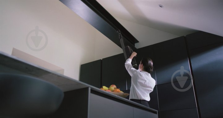 Пилосос акумуляторний Electrolux PF91-4IG black - фото 12