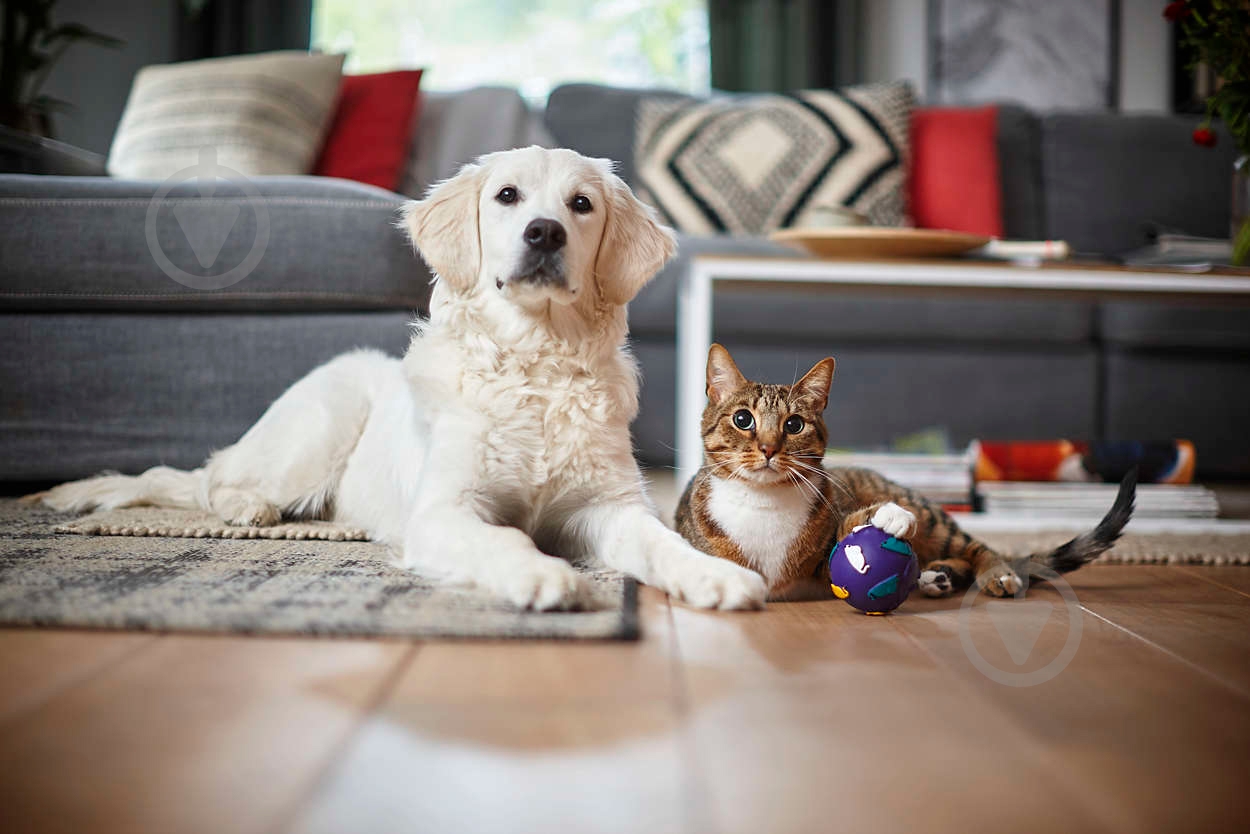 Пылесос Philips FC8296/01 - фото 14