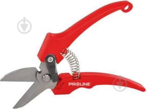 Секатор садовый Proline 200 мм тип 2 (40088) - фото 1 Секатор садовый Proline 200 мм тип 2 (40088) - фото 1