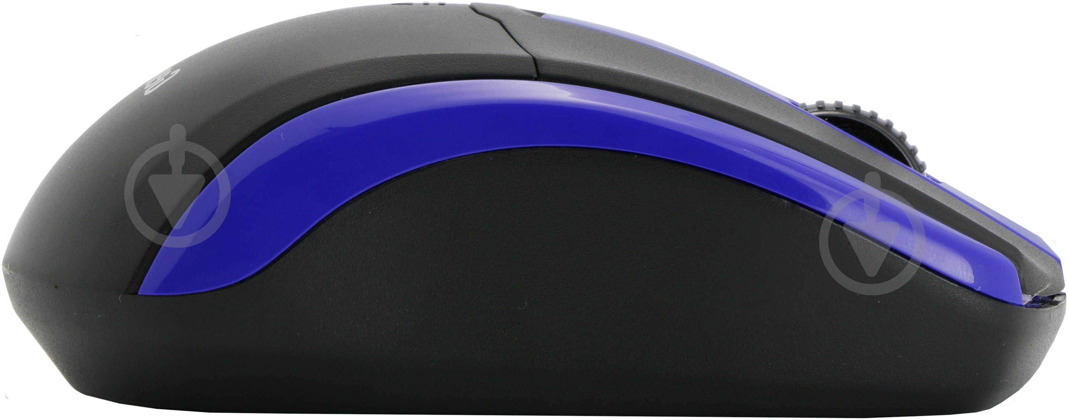 Мышь Genius NS-6005 WL (31030100103) black/blue - фото 3