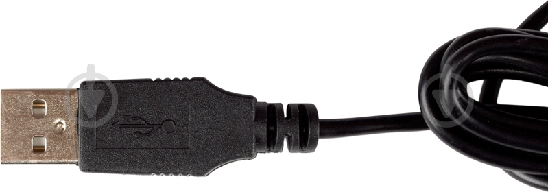 Мышь Trust Optical Black USB black (5702347) - фото 4