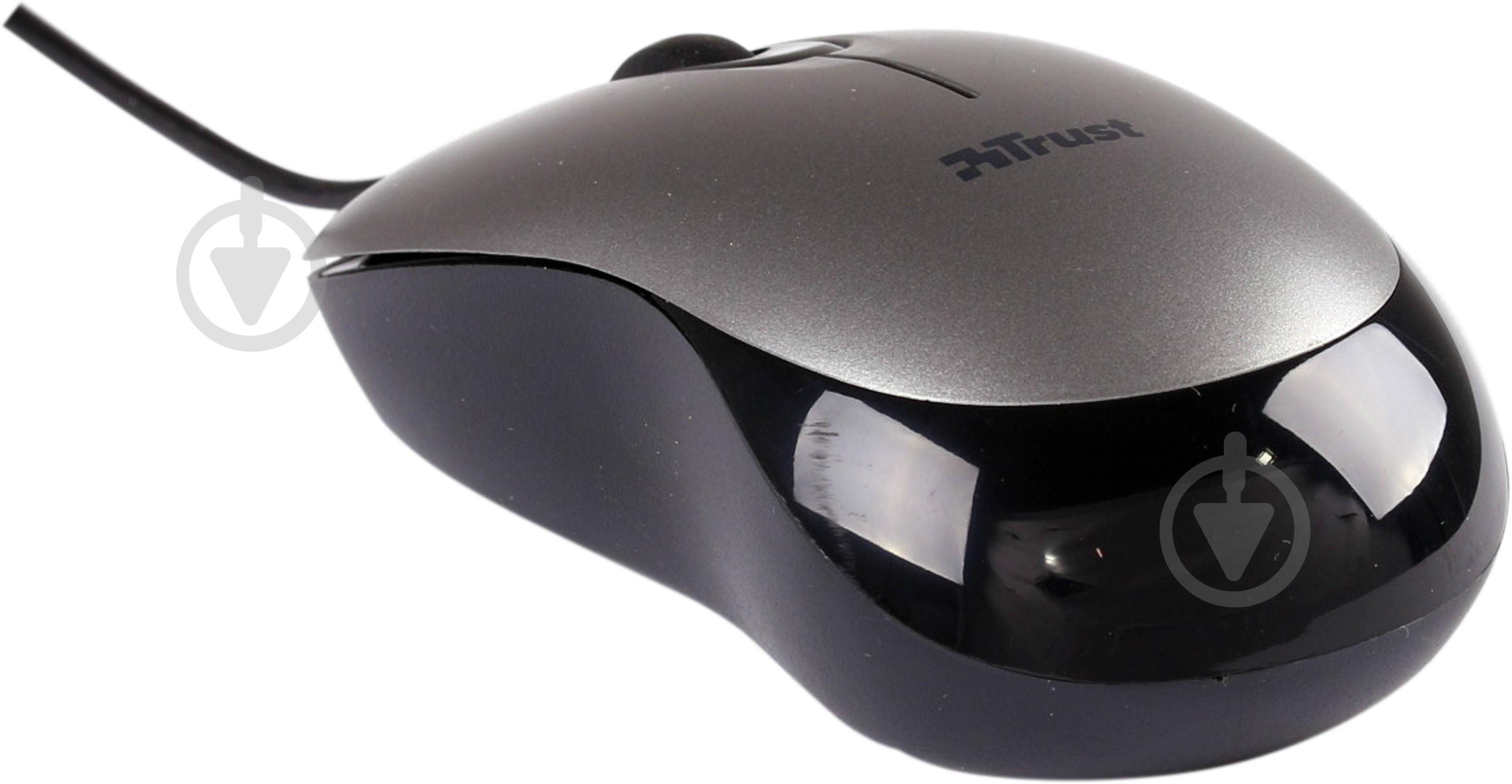 Мышь Trust Evano Compact Mouse (16489) grey (16489) - фото 2