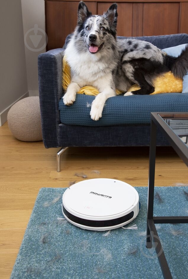 Робот-пылесос Rowenta X-plorer Serie 50 RR7387WH white - фото 10 Робот-пылесос Rowenta X-plorer Serie 50 RR7387WH white - фото 10