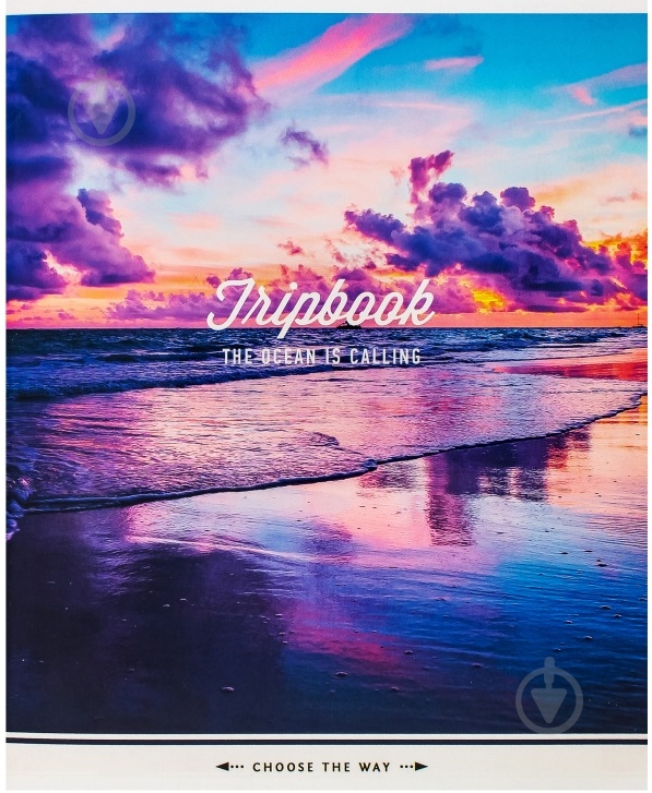 Тетрадь школьная 60 листов в клетку в ассортименте Школярик - фото 8 Тетрадь школьная 60 листов в клетку в ассортименте Школярик - фото 8