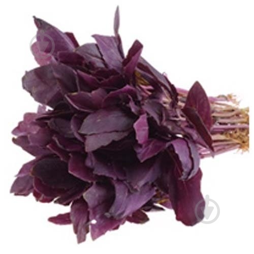 Базилик красный блистер 50 г - фото 1 Базилик красный блистер 50 г - фото 1