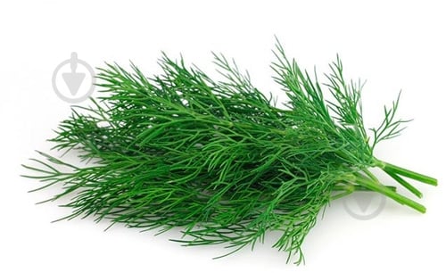 Укроп 70 г - фото 1