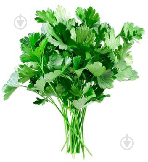 Петрушка 70 гр блистер - фото 1 Петрушка 70 гр блистер - фото 1