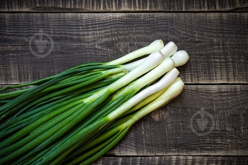 Лук зеленый 100 гр. - фото 3