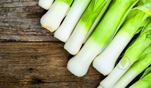 Лук-порей весовой - фото 3