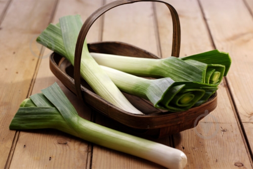 Лук-порей весовой - фото 5