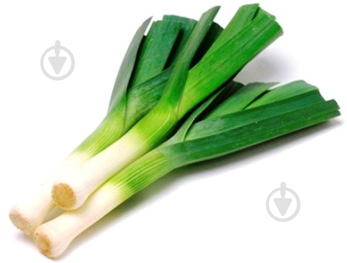 Лук-порей весовой - фото 2