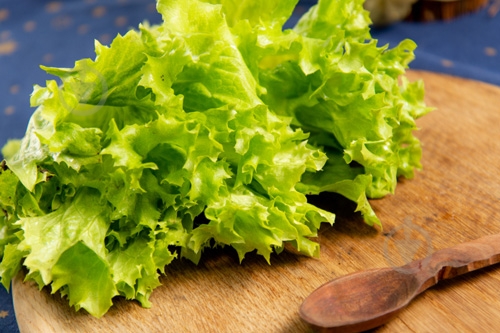 Салат зеленый лолло биондо весовой - фото 2