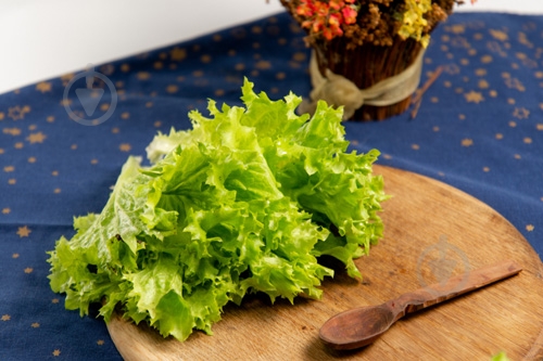 Салат зеленый лолло биондо весовой - фото 5