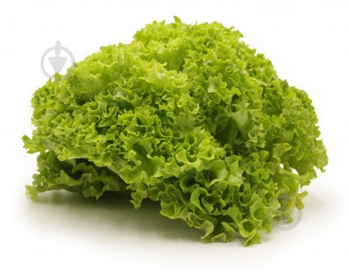 Салат зеленый лолло биондо весовой - фото 1