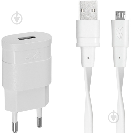 Зарядное устройство RivaCase VA4111 WD1 (White) - фото 1 Зарядное устройство RivaCase VA4111 WD1 (White) - фото 1