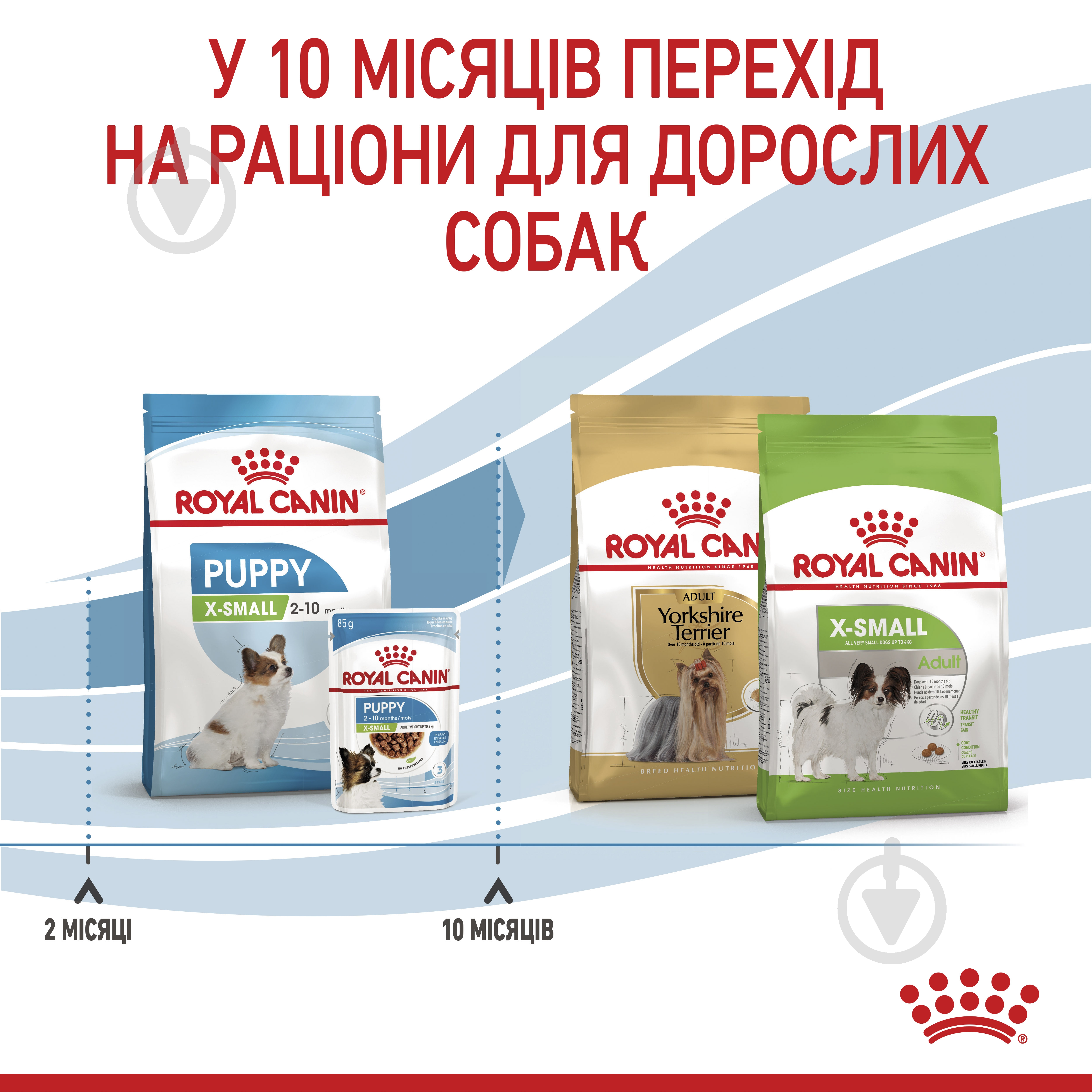 Корм сухой для щенков для малых пород Royal Canin X-SMALL PUPPY 1,5 кг (домашняя птица, рис, кукуруза) 1,5 кг - фото 7