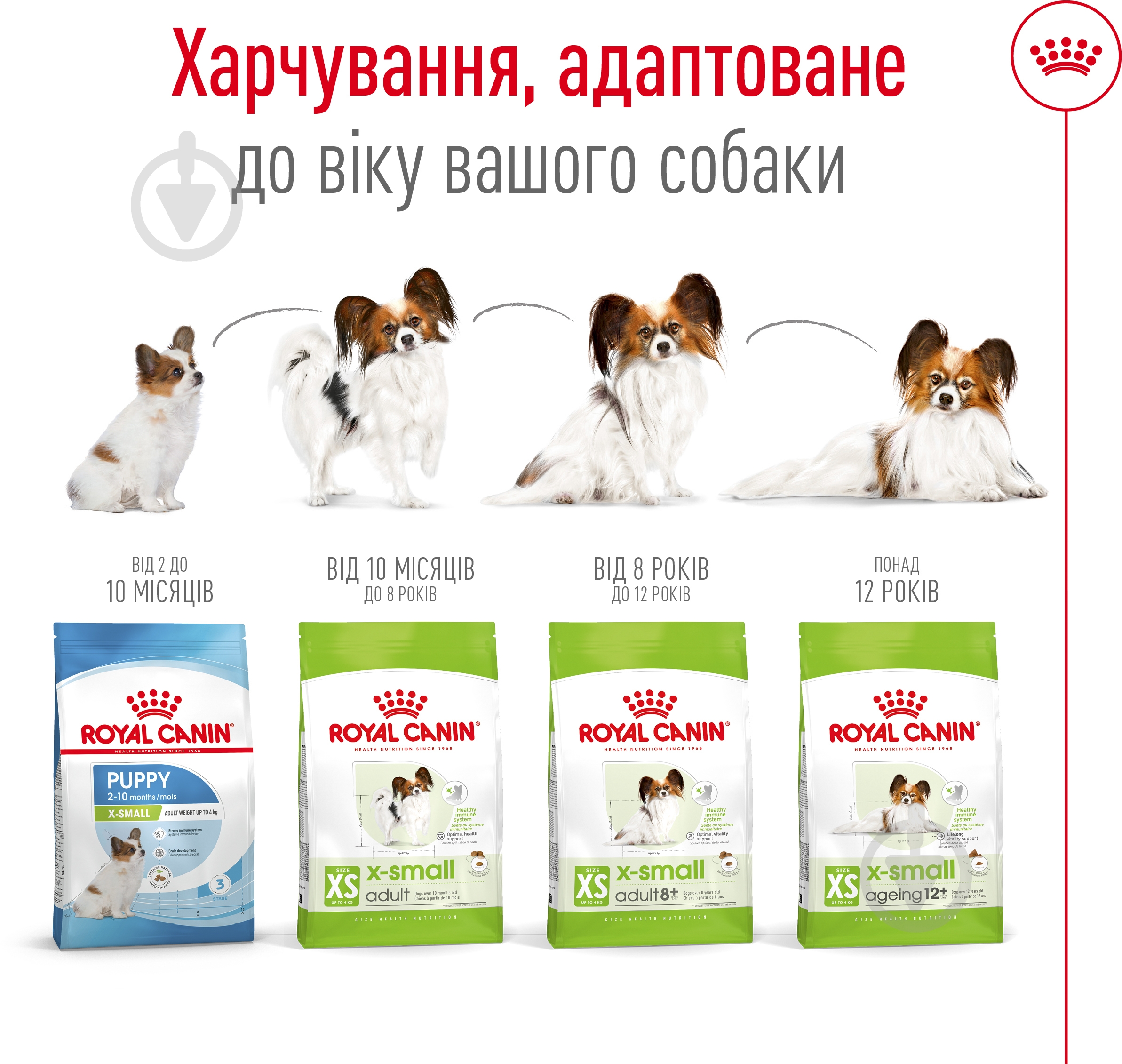 Корм сухой Royal Canin X-SMALL ADULT 3 кг (домашняя птица, рис, кукуруза) 3 кг - фото 4