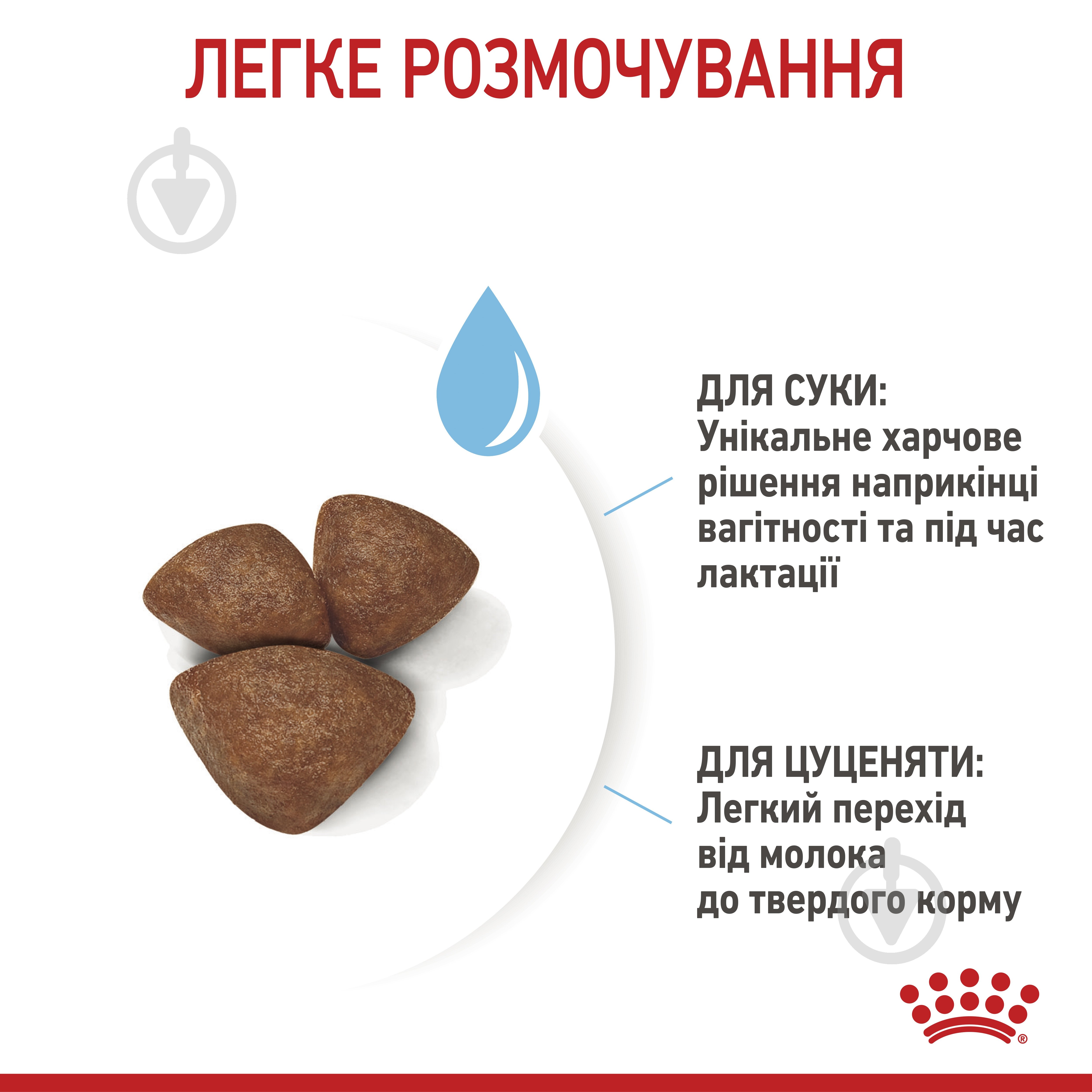 Корм сухой для взрослых собак для малых пород Royal Canin MINI STARTER 1 кг (домашняя птица, рис, кукуруза) 1 кг - фото 6