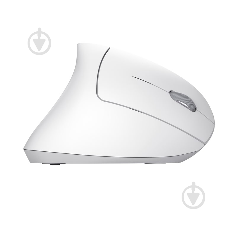 Мышь Trust Verto Ergonomic WL white (25132_TRUST) - фото 3 Мышь Trust Verto Ergonomic WL white (25132_TRUST) - фото 3