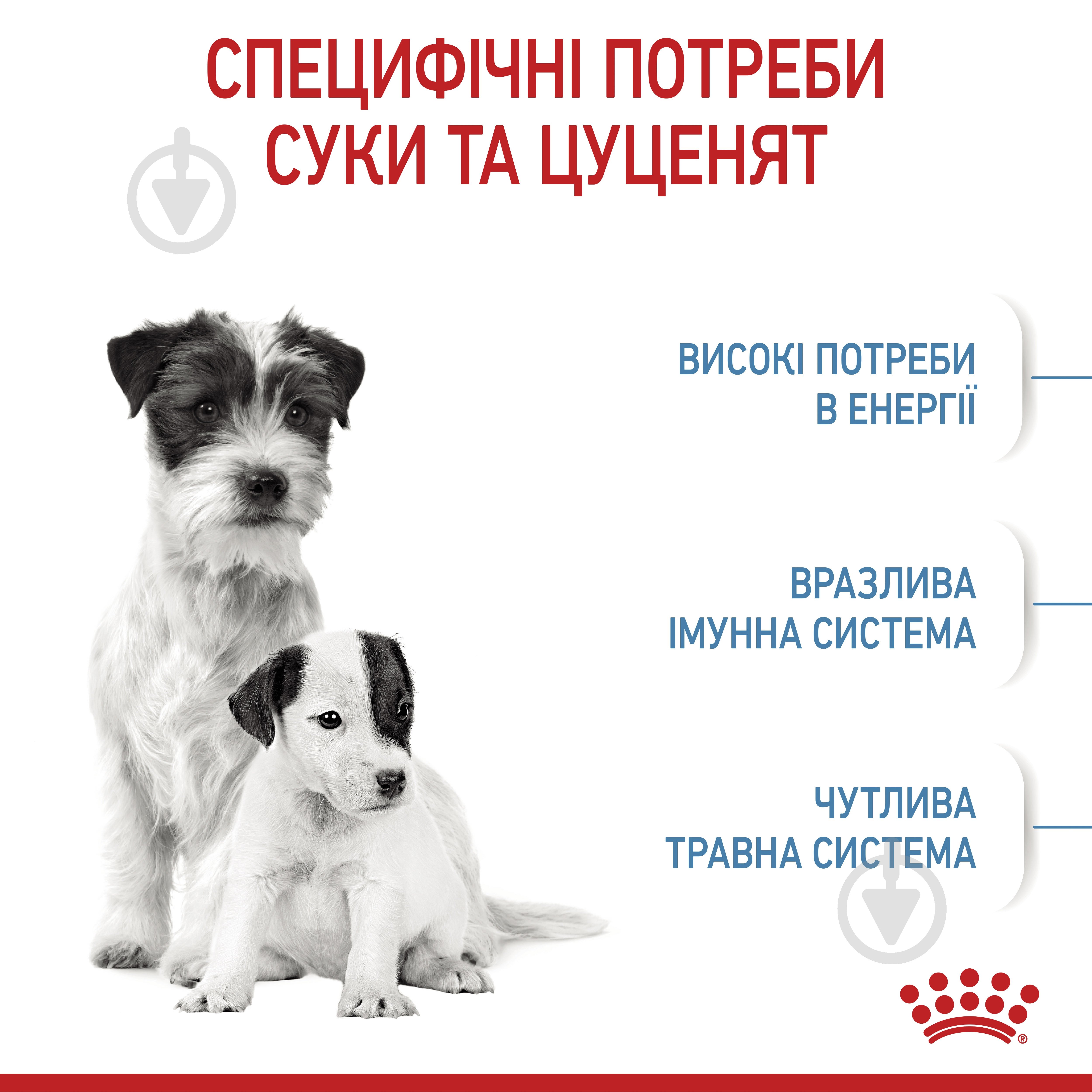 Корм сухой для взрослых собак для малых пород Royal Canin MINI STARTER 3 кг (домашняя птица, рис, кукуруза) 3 кг - фото 4