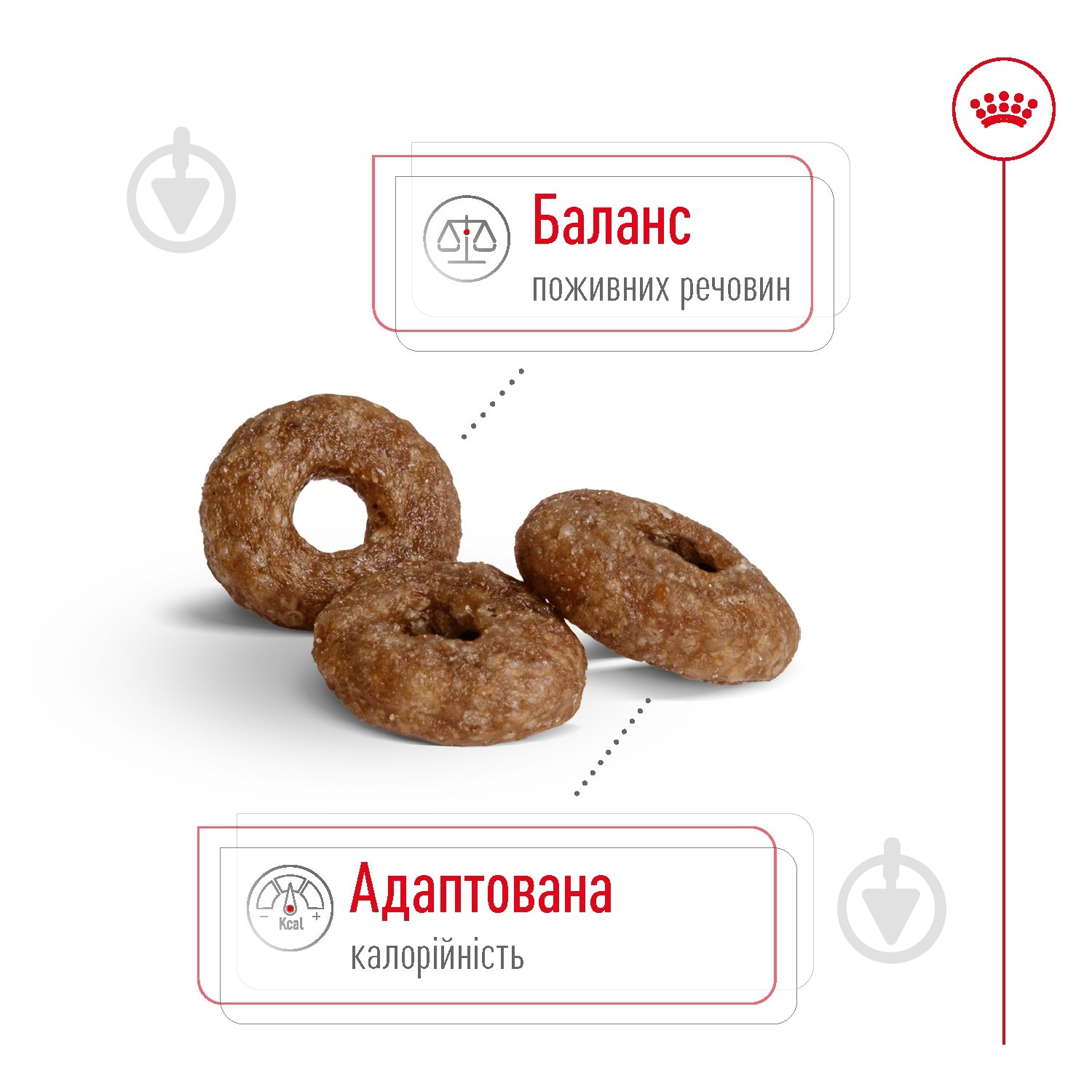 Корм сухой Royal Canin MINI AGEING 12+ 0,8 кг (домашняя птица) 800 г - фото 5