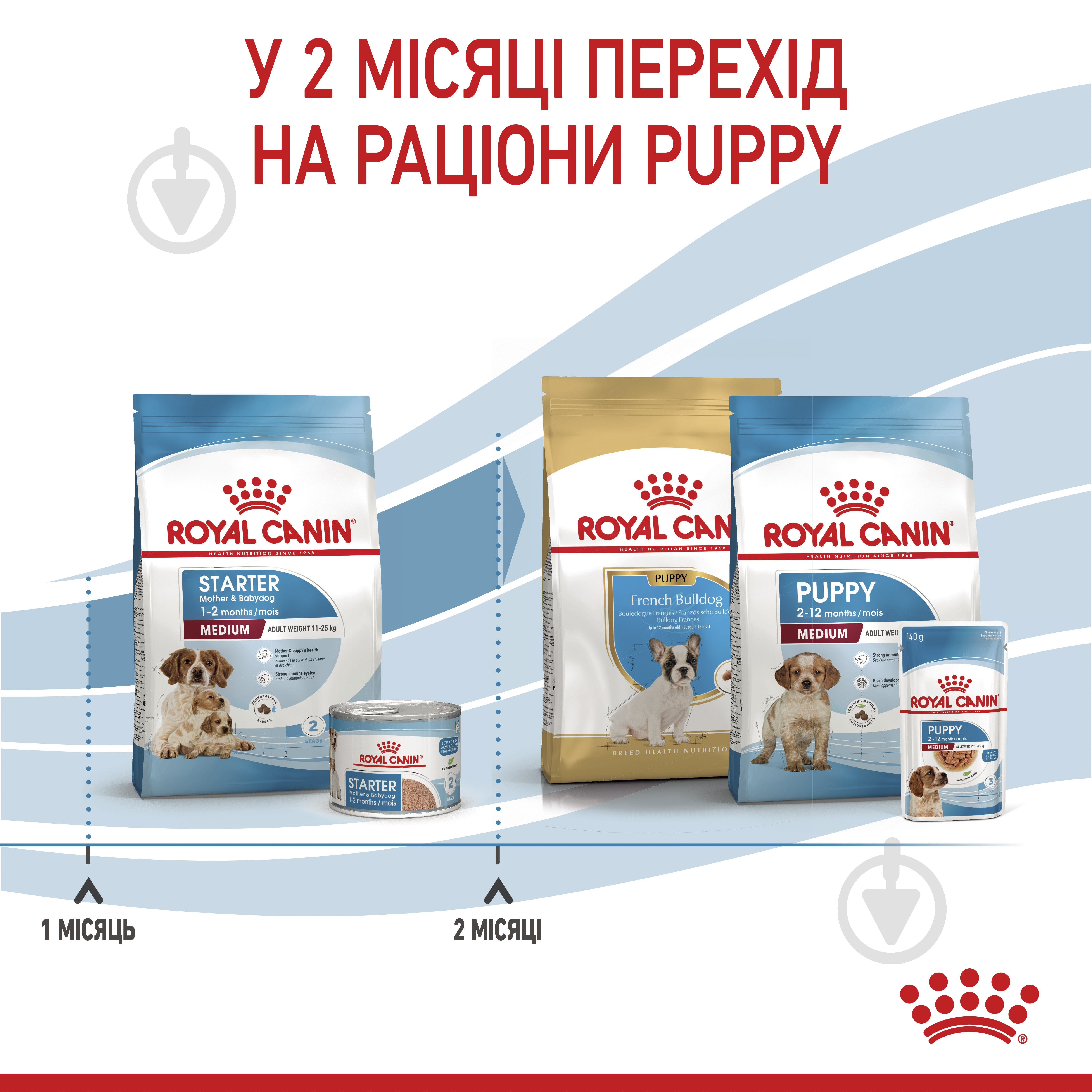 Корм сухий Royal Canin MEDIUM STARTER 1 кг (свійська птиця) 1 кг - фото 5
