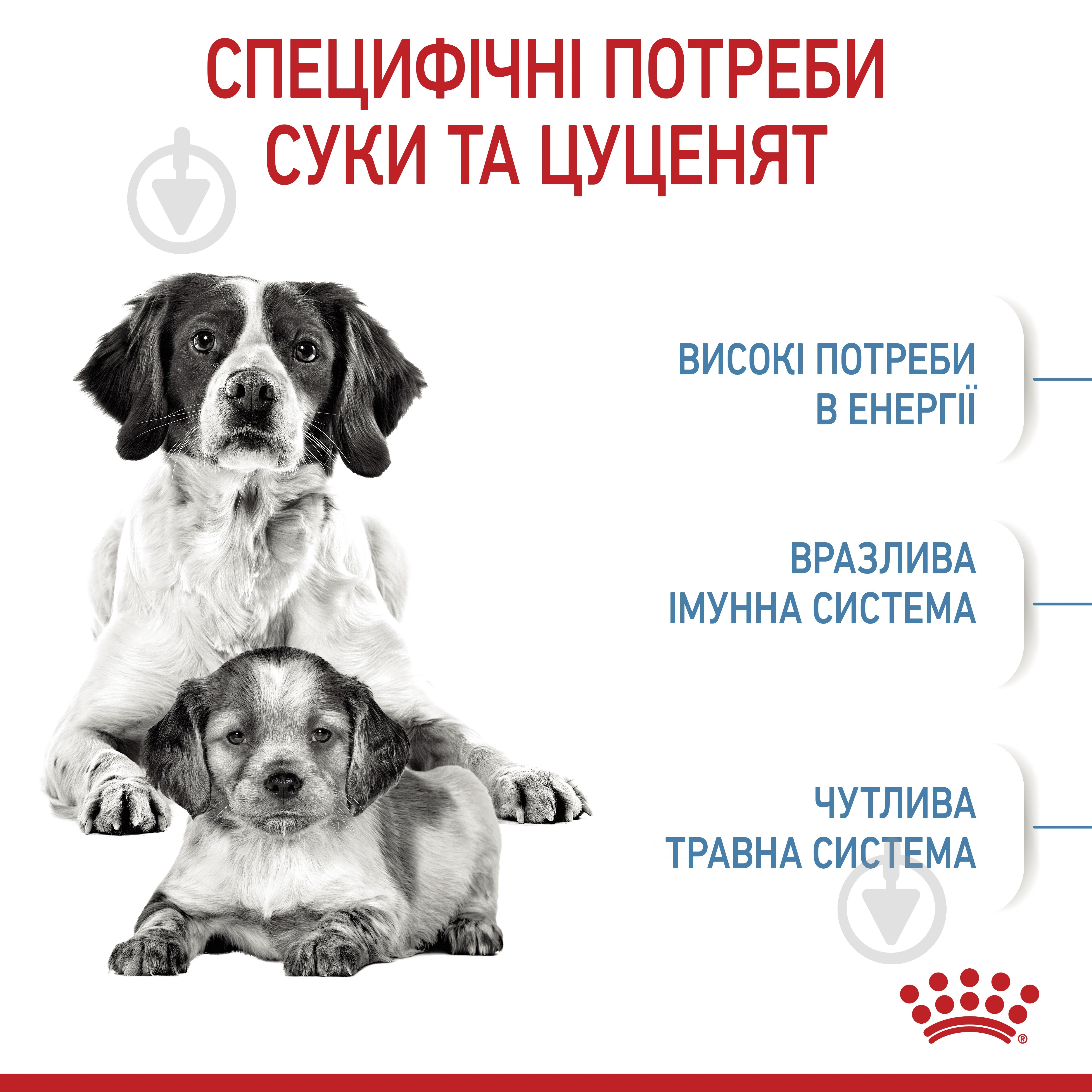Корм сухий Royal Canin MEDIUM STARTER 1 кг (свійська птиця) 1 кг - фото 8