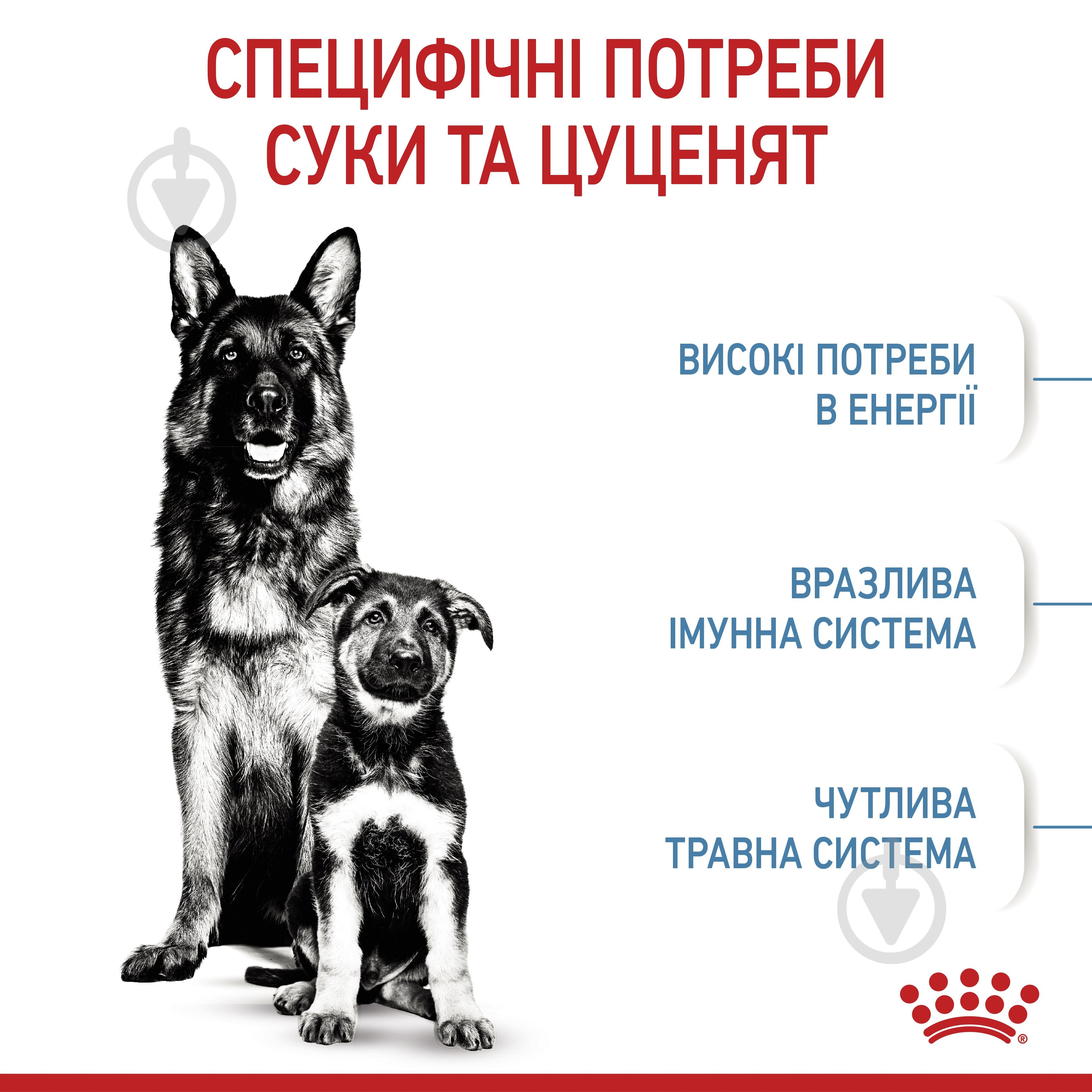 Корм сухой Royal Canin MAXI STARTER 1 кг (кукуруза, рис) 1 кг - фото 5
