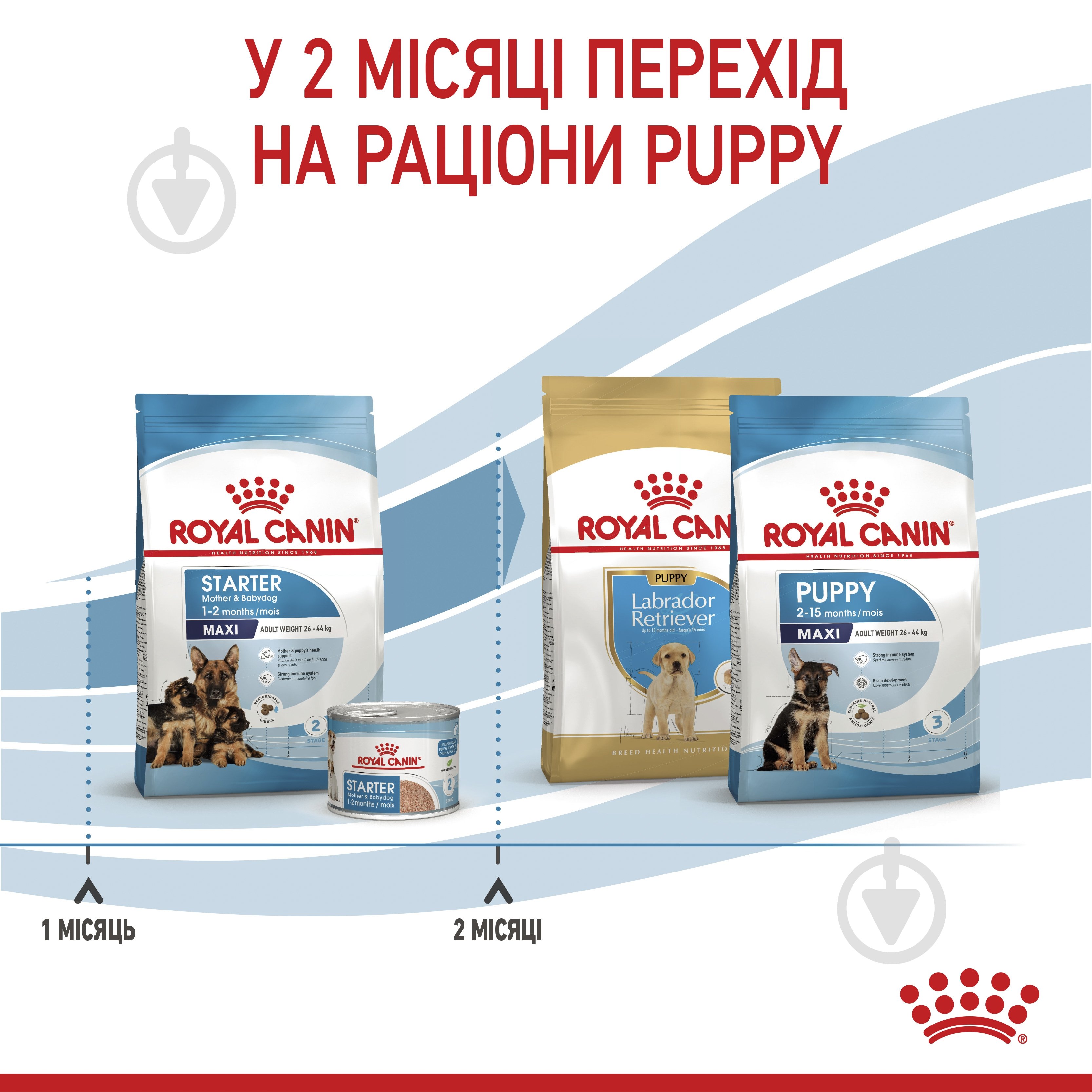 Корм сухой Royal Canin MAXI STARTER 1 кг (кукуруза, рис) 1 кг - фото 8