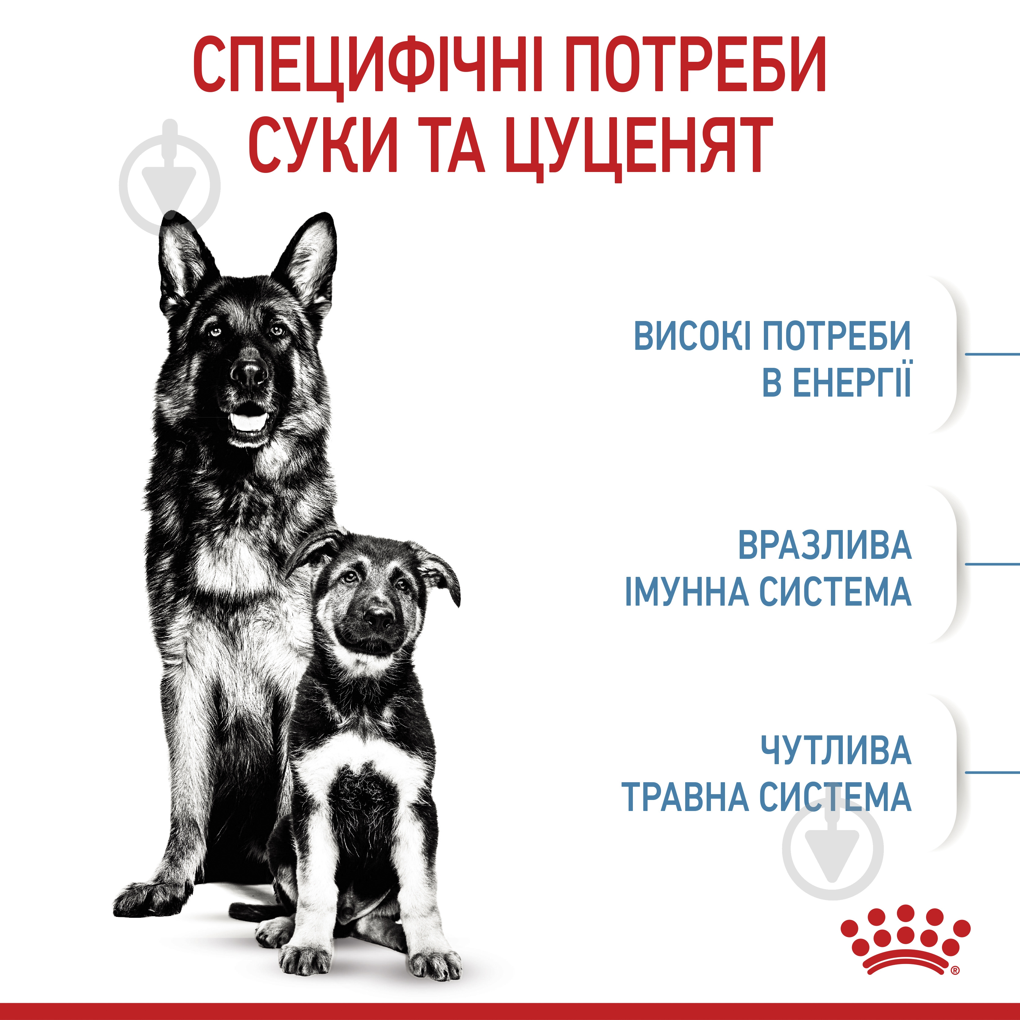 Корм сухой Royal Canin MAXI STARTER 4 кг (кукуруза, рис) 4 кг - фото 5